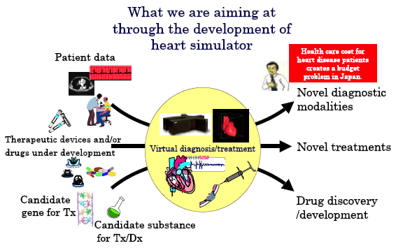 What we are aiming at through the development of heart simulator