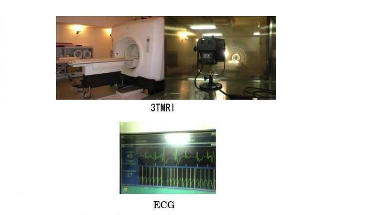 Experimental Validation