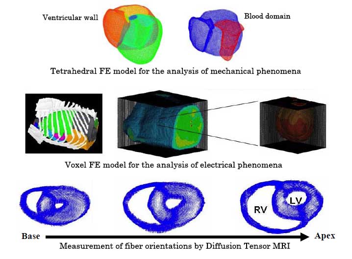 Experimental Validation